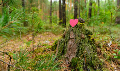 Aimer, perdre, grandir...